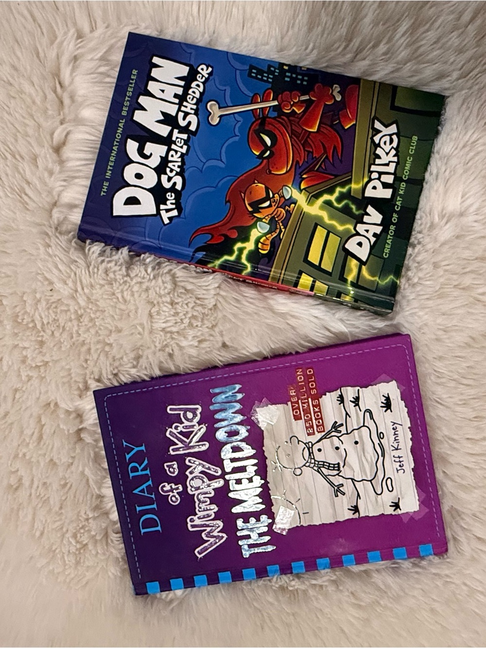 Diary of a Wimpy Kid: The Meltdown - Purple Kids Book